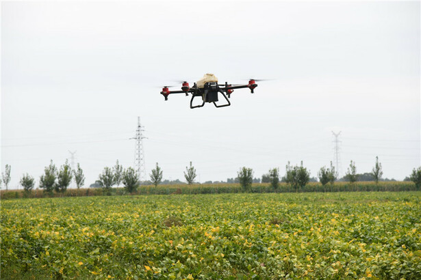 Wuhu: Smart Agriculture Empowers Rural Revitalization-msoen
