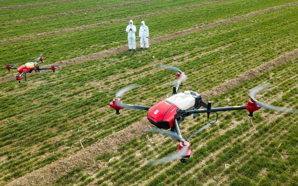 Smart Farm Helps Rural Revitalization-msoen