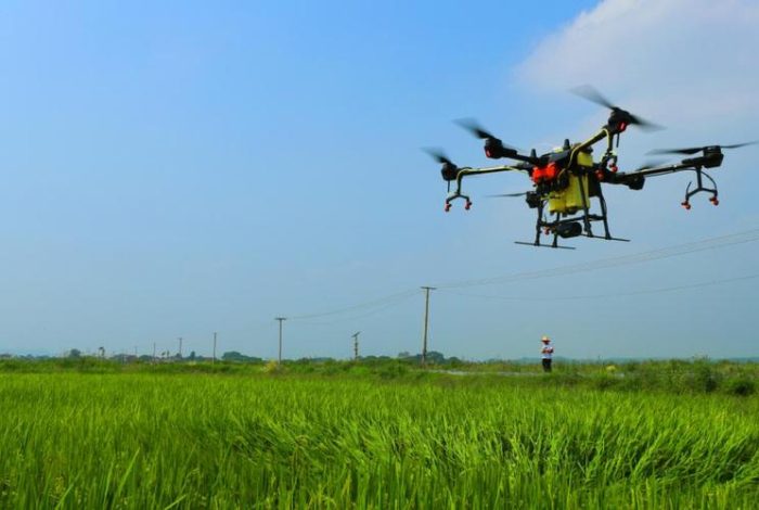 Accelerate the digital transformation of agriculture and promote the development of rural industries-msoen