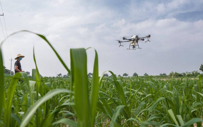 Jingning: Drone Autumn Orchard Management Work-msoen