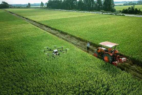 Drone fertilization in Shaqiao Town adds intelligence to field management-msoen