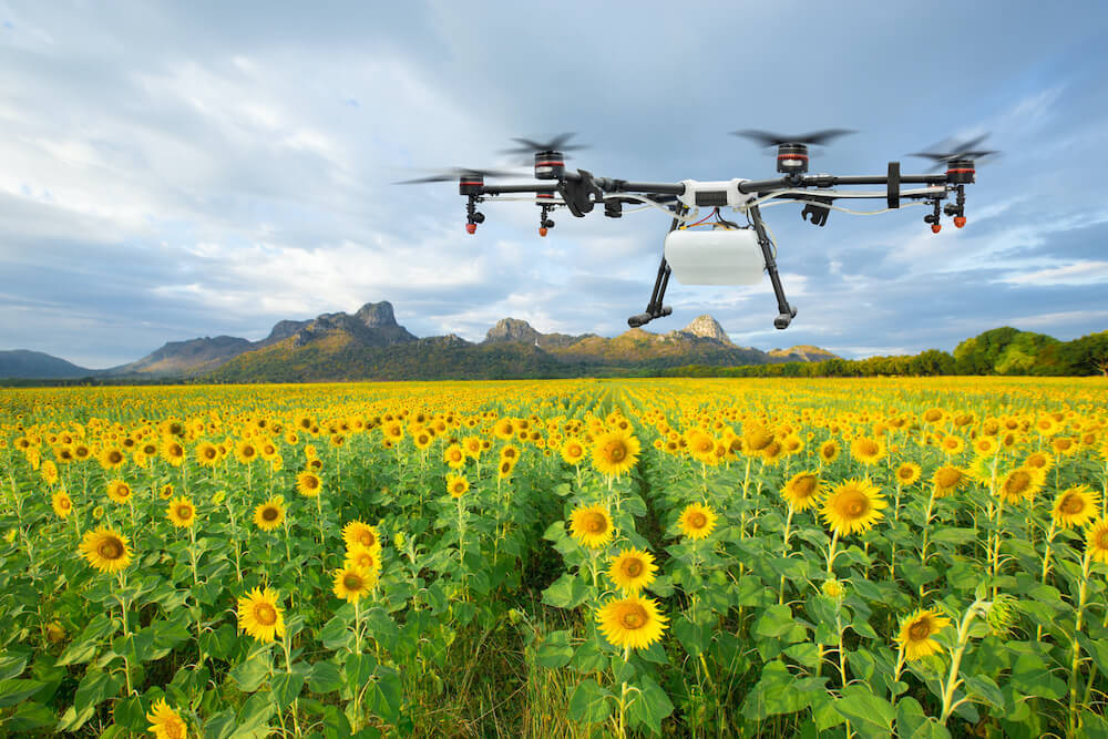 Drones Assisting Rural Revitalization and Featured Planting-msoen