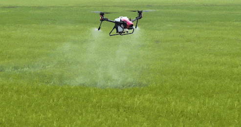 Drone rescue of damaged paddy fields-msoen