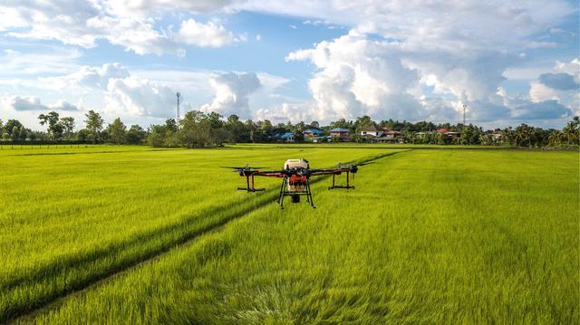 Smart Agriculture Helps Increase Grain Production and Harvest for Years-msoen