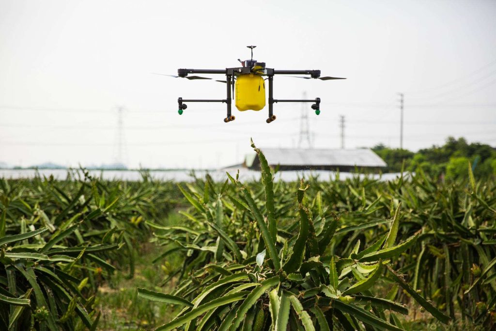 Drones Assist in Stable Production and Income Increase of Autumn Grain-msoen