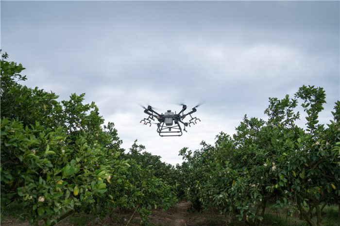 Empowering Modern Agriculture with Digital Technology-msoen