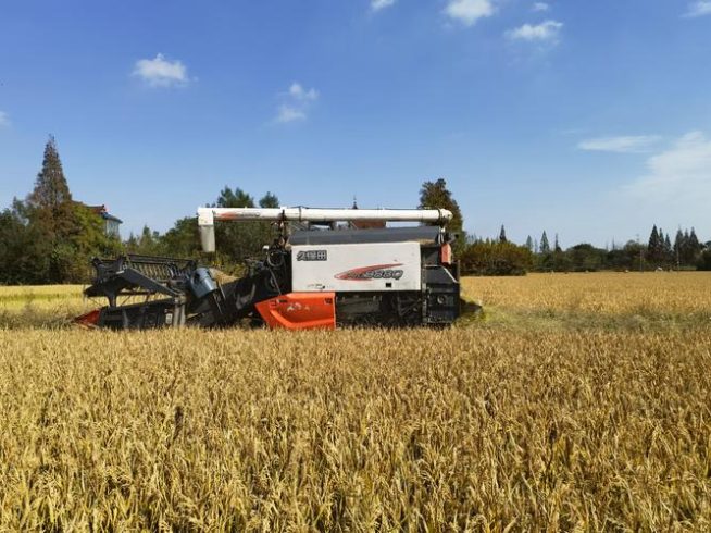 Watching the Prosperity of Rural Revitalization in Yutai-msoen