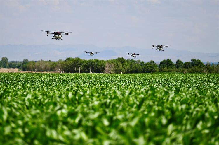 Transforming “sweat agriculture” into “smart agriculture”-msoen