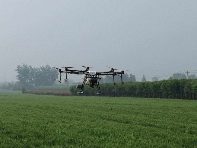 Wisdom Farm Harvest-msoen