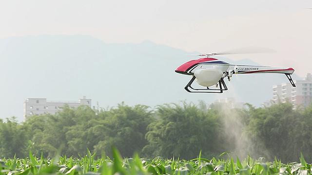 Drone rescue of disaster stricken “Wuchang Rice”-msoen