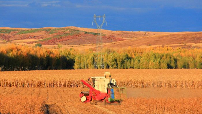 Stand ready for the autumn harvest-msoen