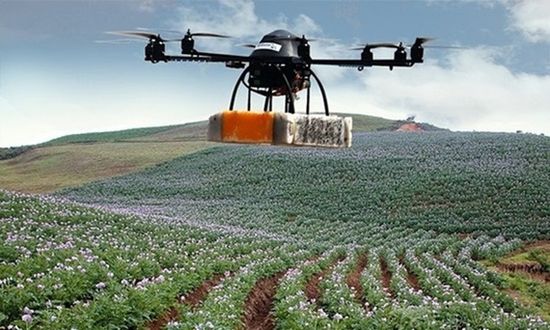 Digital Technology Draws a Blueprint for Rural Revitalization-msoen