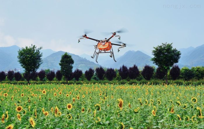 Smart Agriculture Promotes Revitalization-msoen