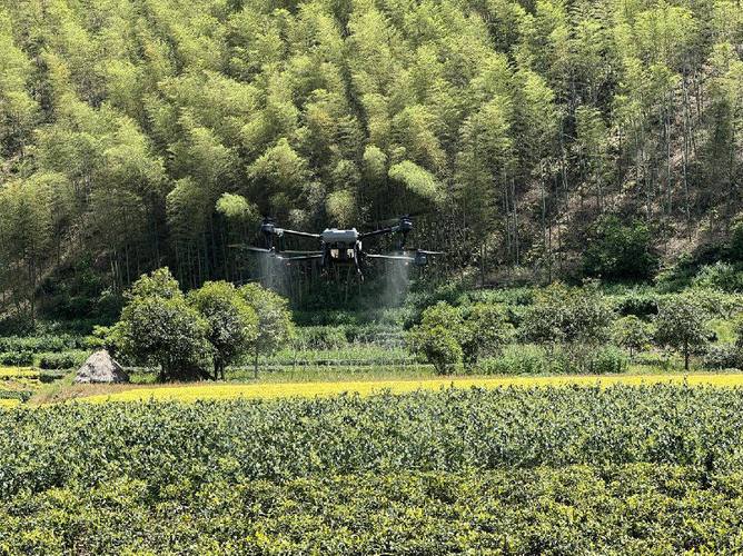 Weifang Shouguang Injects New Energy into Rural Revitalization-msoen