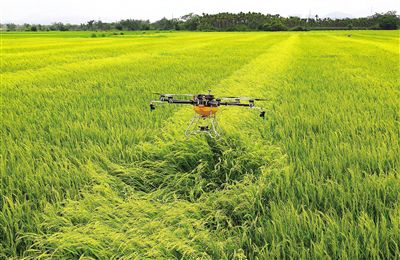 “Fish and vegetable symbiosis” to achieve zero pollution and emissions-msoen