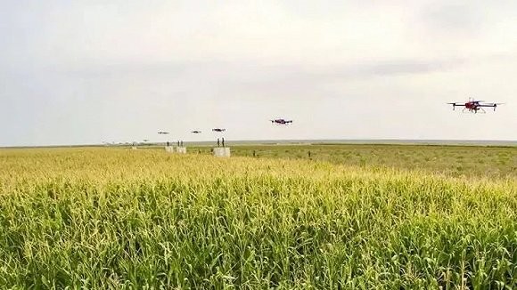 Unmanned Farm in Xiong’an New Area-msoen