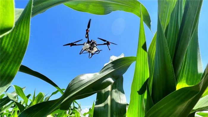 Agricultural Mechanization Helps Autumn Harvest-msoen