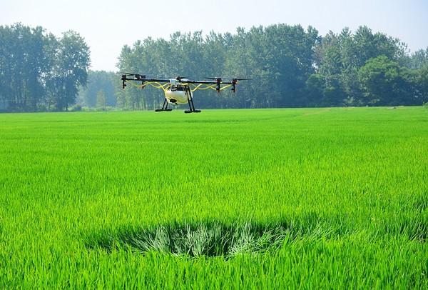 Accelerating the Development of Digital Agriculture in Multiple Areas of Shandong Province-msoen