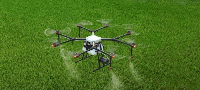Unmanned agricultural machinery grabs the crops, and Fengxian's "National Day Rice" begins to sickle-msoen