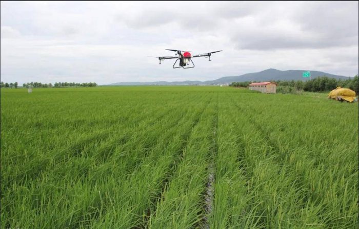 Wenxin 10L 4m Spray Width Battery Agriculture Sprayer Drone for Agricultural Spraying-msoen