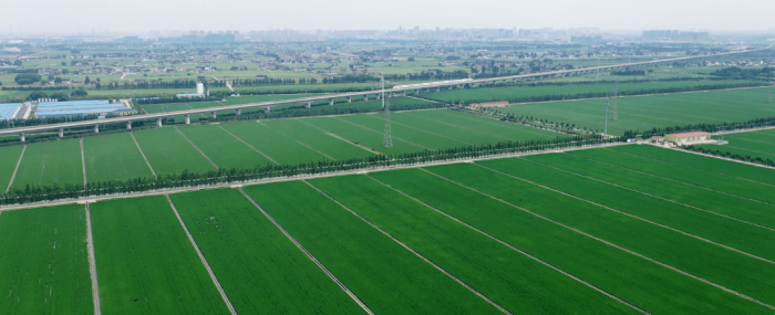 Crop Protection Drones: Enhancing Agricultural Sustainability-msoen