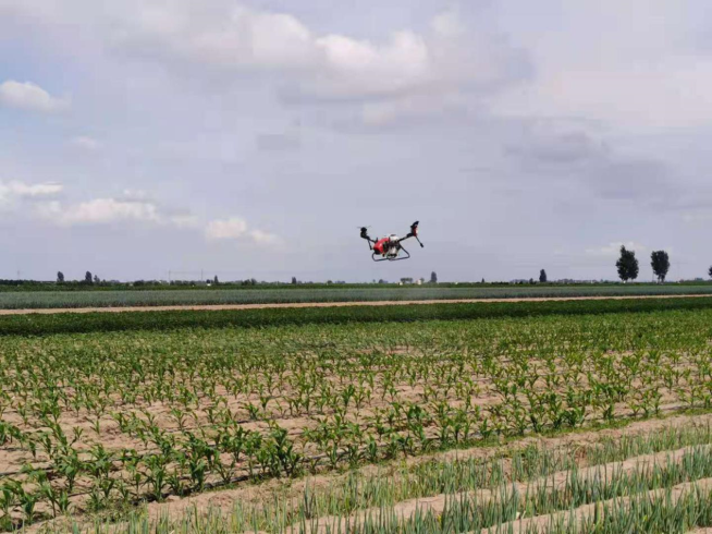 The Future of Agriculture: Drones and Sustainable Farming-msoen