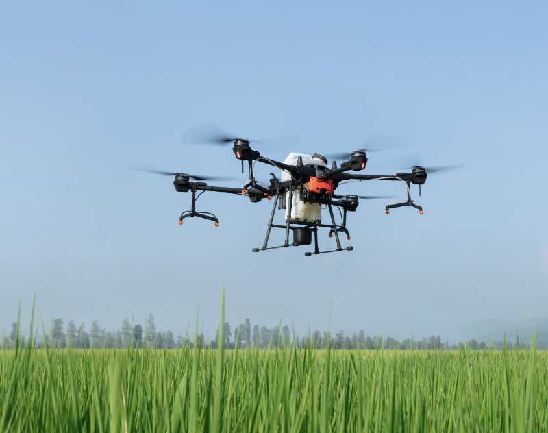 Drone “Wings” Decide to Go High and “Help Fly” Rural Revitalization-msoen