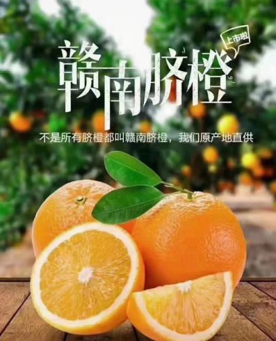 Gannan Navel Oranges: A Sweet Taste of Tradition-msoen