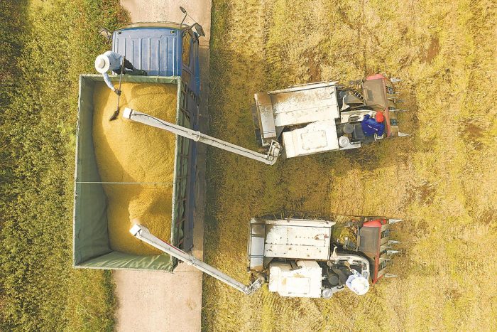 Fully mechanized harvesting and sowing-msoen