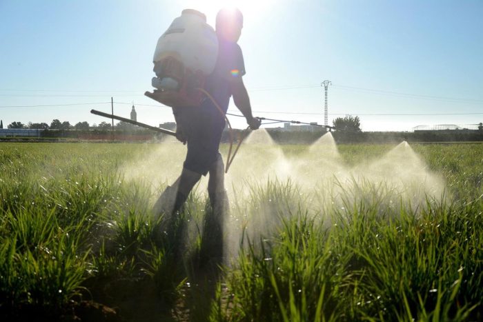 A little finger, drone fertilization and medicine!-msoen