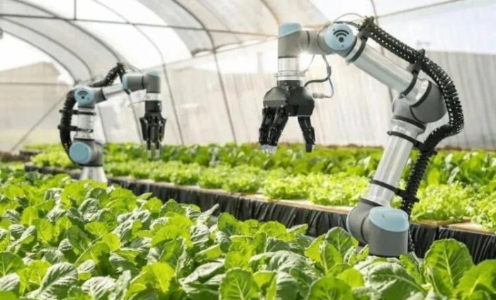The future has arrived! Top 10 Trends in Global Smart Agriculture-msoen