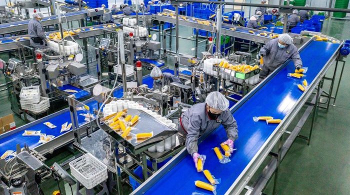 Deep Interpretation of Agricultural Product Processing Models: Grain Shelling, Vegetable Helping, and Fruit Peeling-msoen