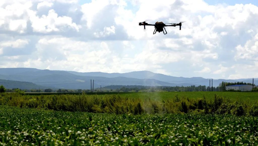 图片[1]-Drones sprayed growth regulators on wheat-msoen