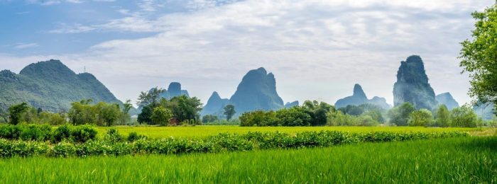 Analysis of Foreign Smart Agriculture Platforms-msoen