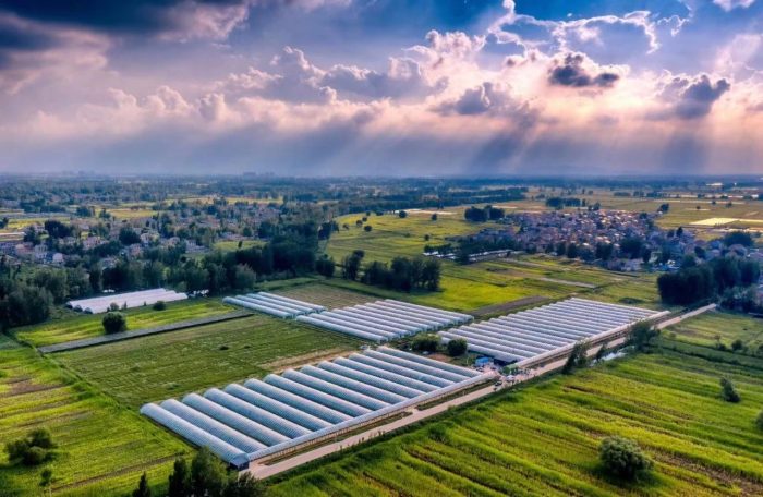 [High-standard Farmland case] There are 14 models of high-standard farmland construction-msoen