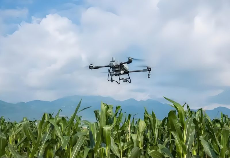 Top 10 Questions to Ask Before Buying a Crop Spraying Drone from Chin-msoen
