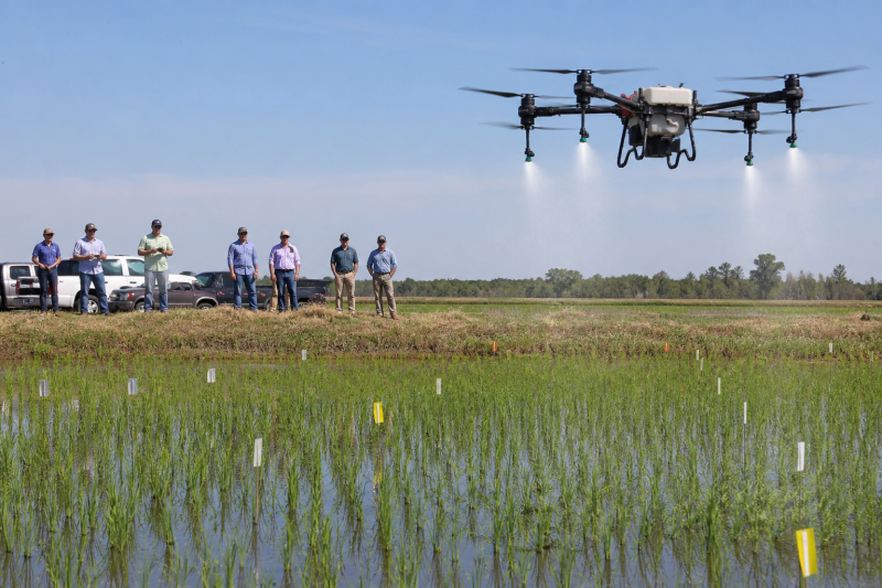 Arkansas Extension Tests Spray Drone Speed: Why 40 mph Cut Canopy Coverage by About 20 Percent-msoen