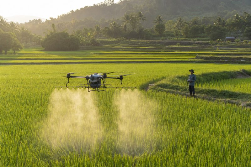 Thailand Scales Up Agricultural Drones With Training Centers and Field Models-msoen