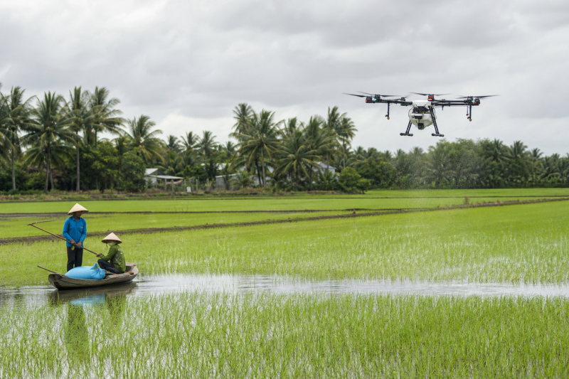 Vietnam Cooperatives Use 3-in-1 Drones for Seeding, Fertilizing, and Spraying Rice-msoen